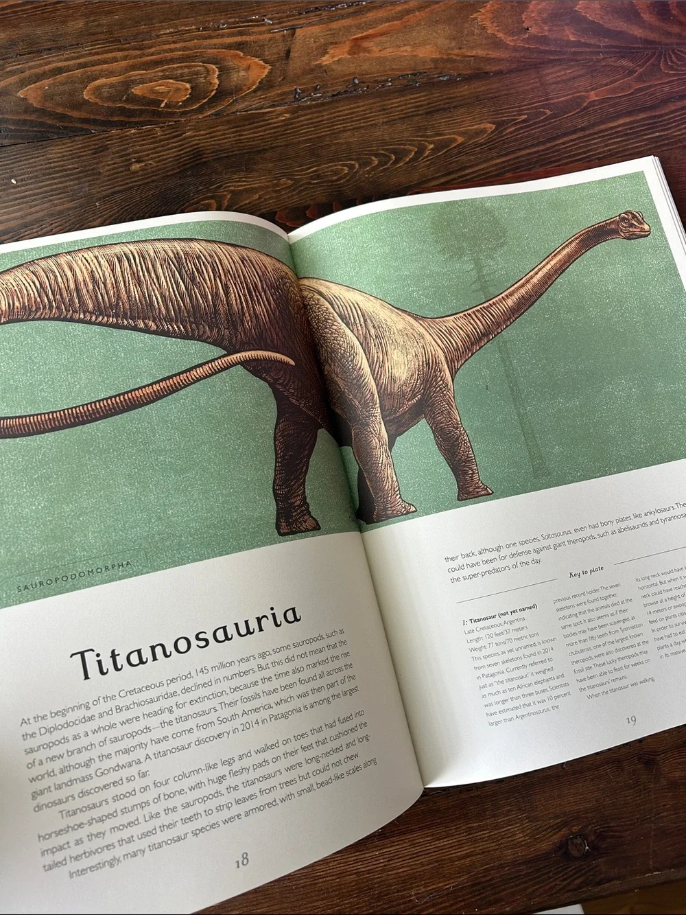 Dinosaurium Welcome to the museum dinosaur book Dino encyclopedia educational
